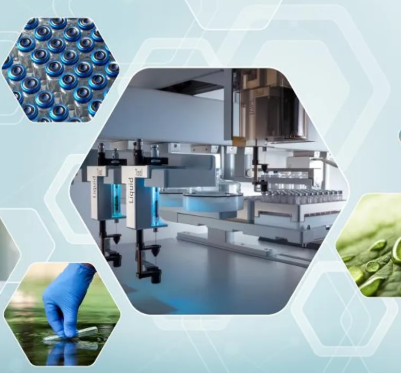 Screenshot 2025-07-29 164028